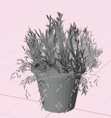 House plant